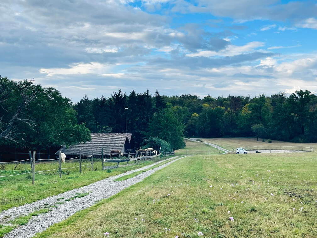 22-09-10 17-57-21 1974